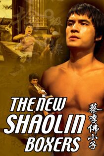 دانلود فیلم Cai li fa xiao zi 1976 بدون سانسور با پخش آنلاین