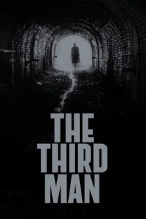 دانلود فیلم The Third Man 1949 بدون سانسور با پخش آنلاین