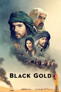 دانلود فیلم Day of the Falcon 2011 بدون سانسور با پخش آنلاین