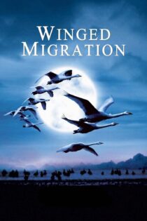 دانلود فیلم Winged Migration 2001 بدون سانسور با پخش آنلاین