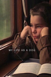دانلود فیلم My Life as a Dog 1985 بدون سانسور با پخش آنلاین دانلود فیلم My Life as a Dog 1985 بدون سانسور با پخش آنلاین