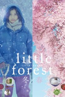 دانلود فیلم Little Forest: Winter/Spring 2015 بدون سانسور دانلود فیلم Little Forest: Winter/Spring 2015 بدون سانسور