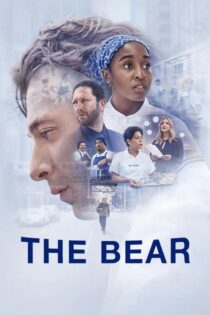 دانلود سریال The Bear بدون سانسور