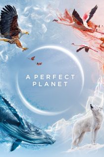 دانلود سریال A Perfect Planet بدون سانسور دانلود سریال A Perfect Planet بدون سانسور