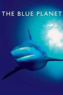 دانلود سریال The Blue Planet بدون سانسور