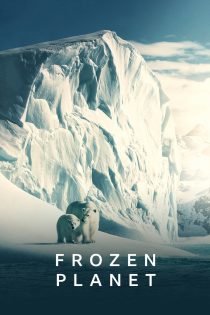 دانلود سریال Frozen Planet بدون سانسور دانلود سریال Frozen Planet بدون سانسور